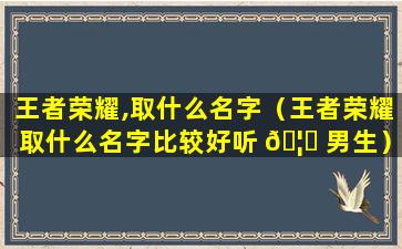 王者荣耀,取什么名字（王者荣耀取什么名字比较好听 🦈 男生）